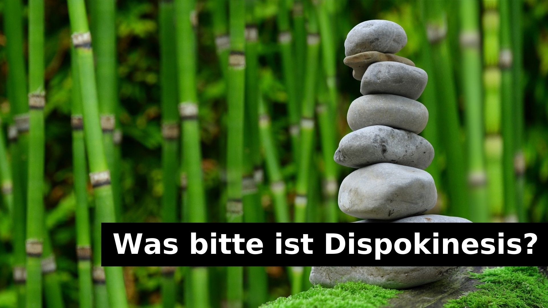 Was bitte ist Dispokinesis?